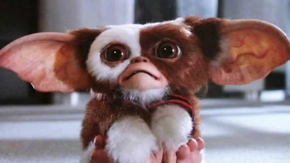 Gremlins 3 : le retour de Guizmo, que sait-on sur le 3ème film de la saga ?